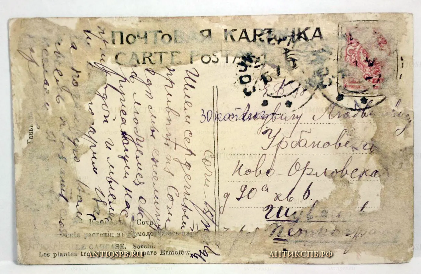Открытка старинная "Сочи". Россия. Нач. ХХ века. №511